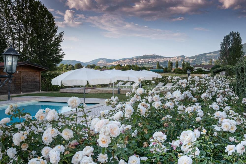 Il Fienile Di Assisi Villa Exterior photo