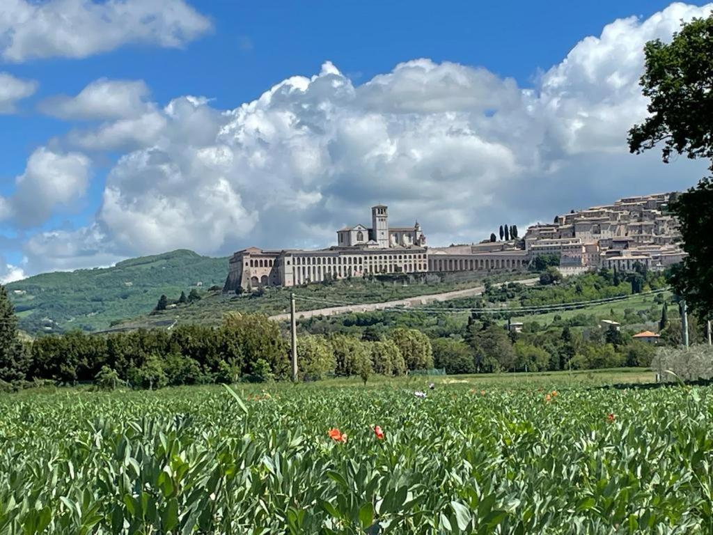 Il Fienile Di Assisi Villa Exterior photo