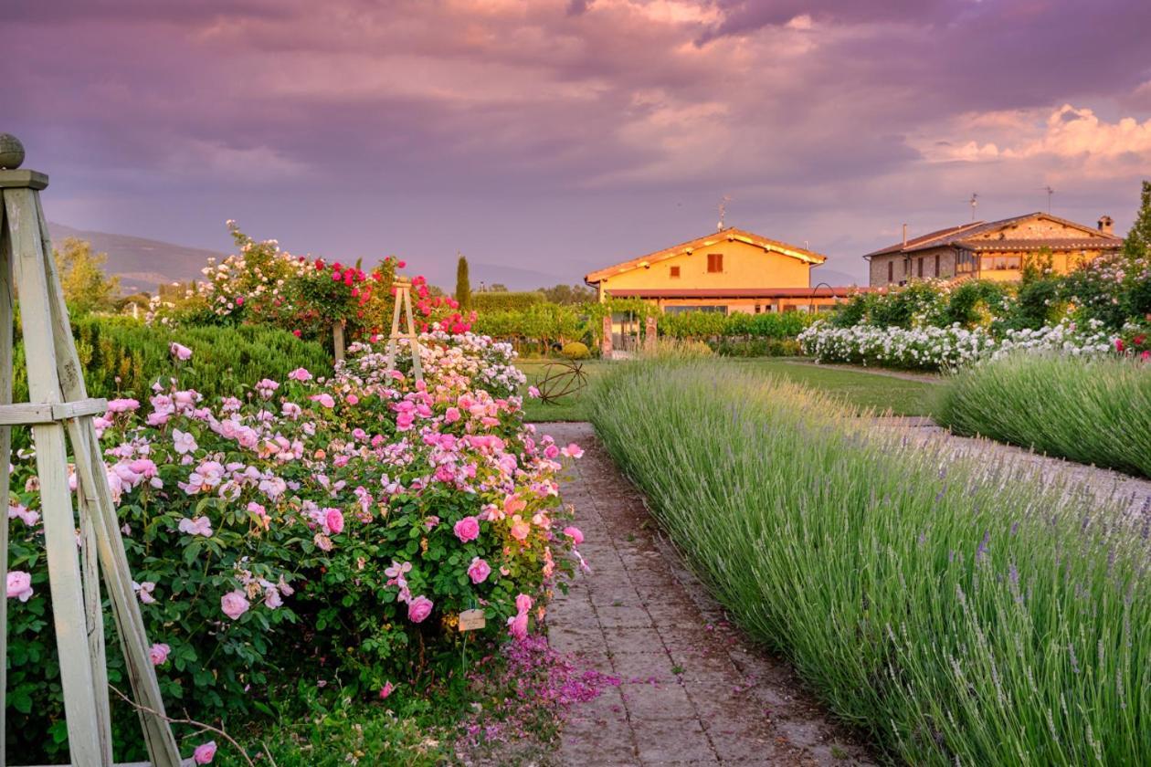 Il Fienile Di Assisi Villa Exterior photo