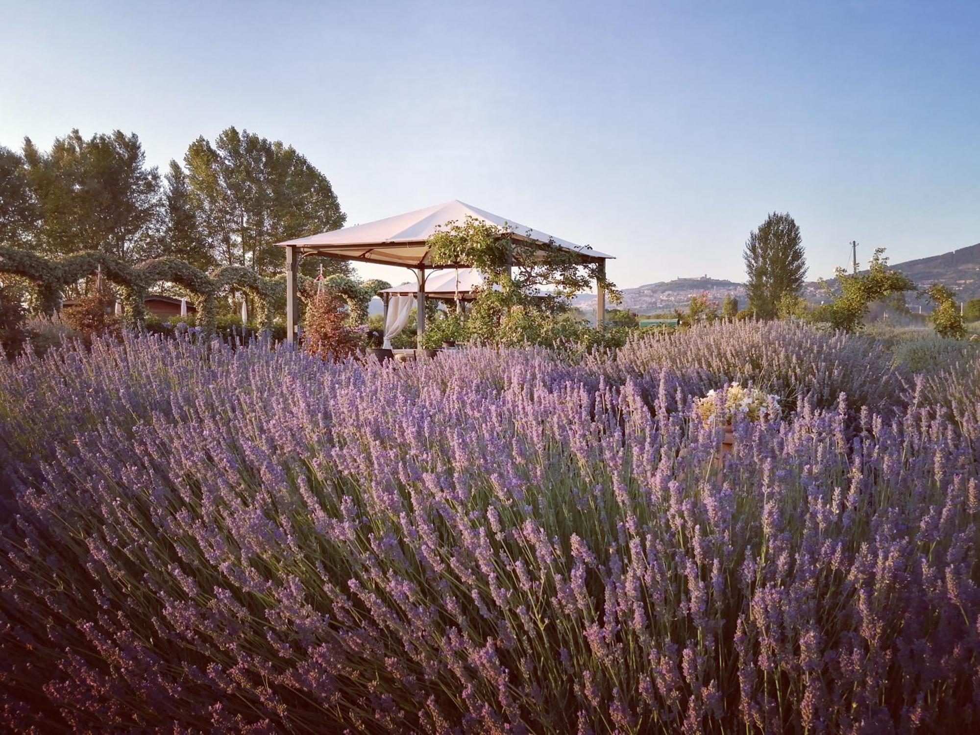Il Fienile Di Assisi Villa Exterior photo