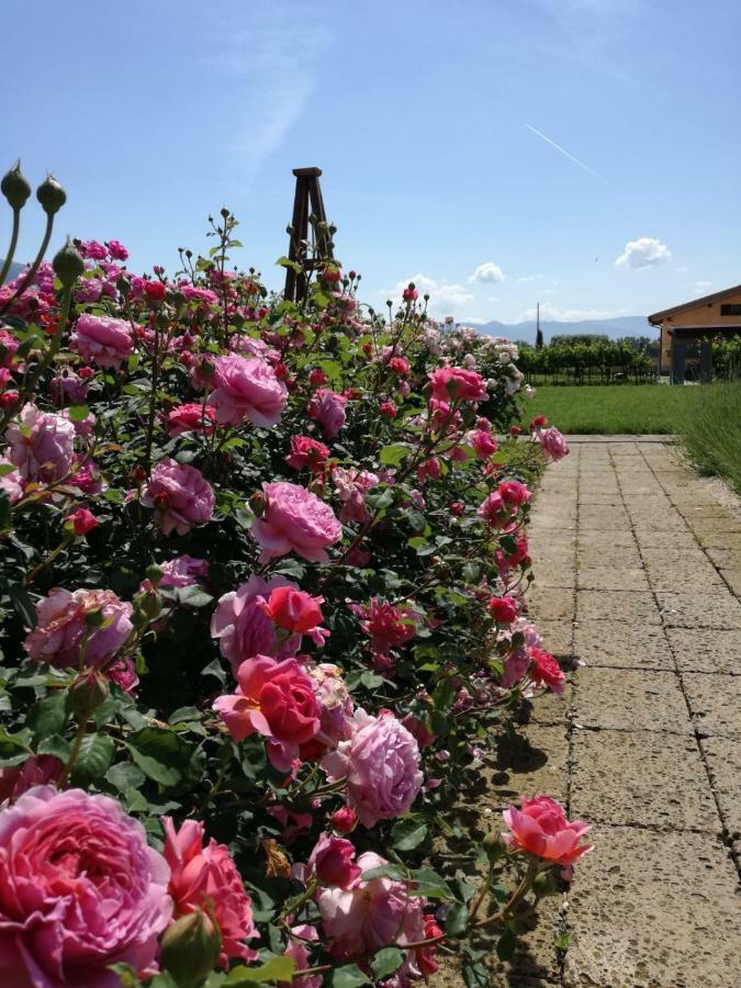 Il Fienile Di Assisi Villa Exterior photo